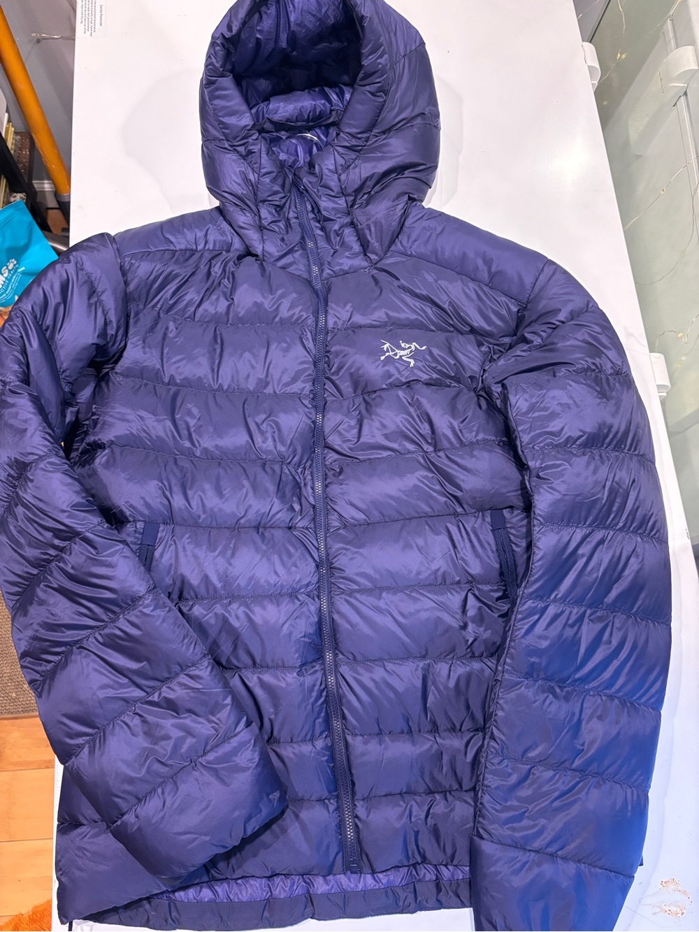 Arc'teryx Men's Cerium S/V Hooded Puffer Jacket — Deep Purple